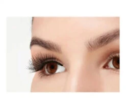 SUN® Ardell Strip Lashes, Double Up 113 -Makeup Care Products Store 67497 3 1 1 57634f61 75f2 45ff b721 d22c243becfa