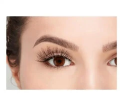SUN® Ardell Strip Lashes, Double Up 113 -Makeup Care Products Store 67497 3 2 1 1ee05c43 5a44 42b0 a461 a8369008a1c8